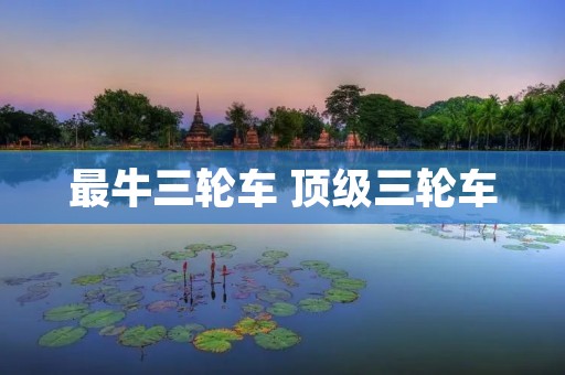 最牛三轮车 顶级三轮车