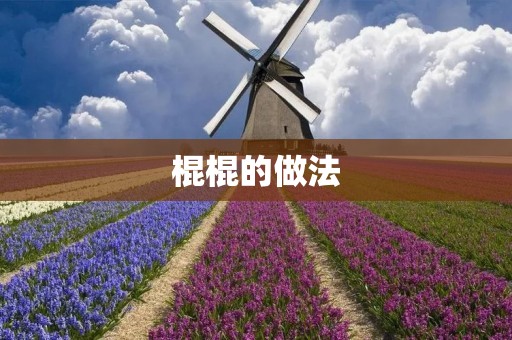 棍棍的做法：手工艺术的精髓