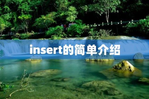 insert的简单介绍 insert的简单介绍