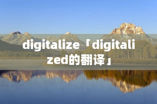 digitalize「digitalized的翻译」