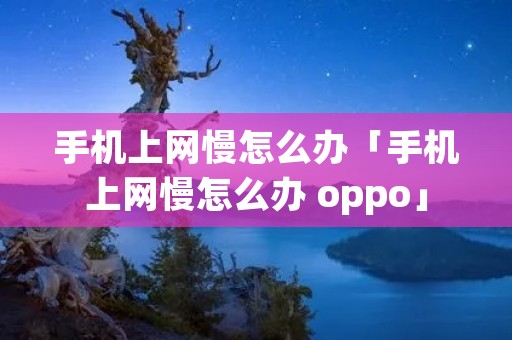 手机上网慢怎么办「手机上网慢怎么办 oppo」