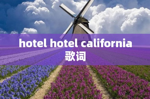 hotel hotel california歌词