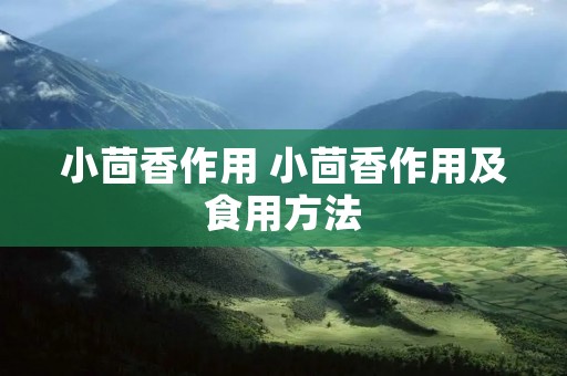 小茴香作用 小茴香作用及食用方法