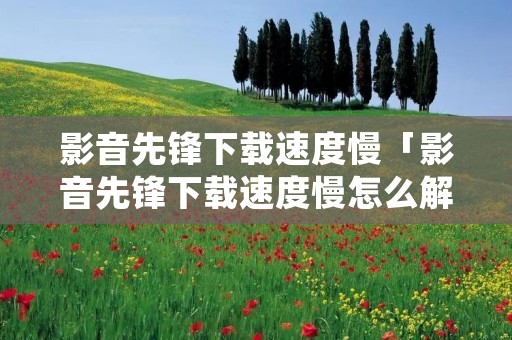 影音先锋****慢「影音先锋****慢怎么解决手机」