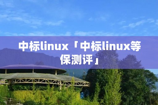 中标linux「中标linux等保测评」