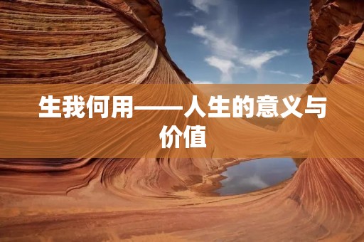 生我何用——人生的意义与价值