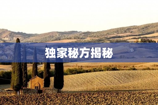 独家秘方揭秘：汤子的做法大公开