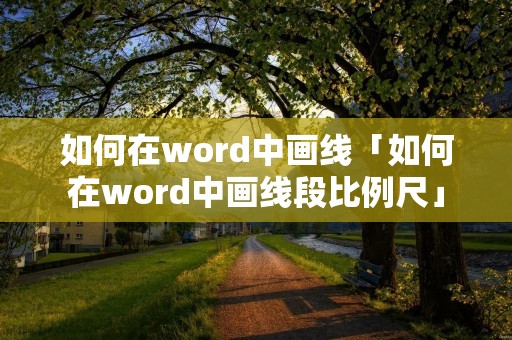 如何在word中画线「如何在word中画线段比例尺」