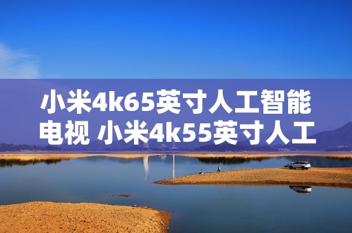 小米4k65英寸人工智能电视 小米4k55英寸人工智能电视