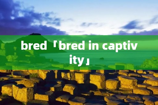 bred「bred in captivity」