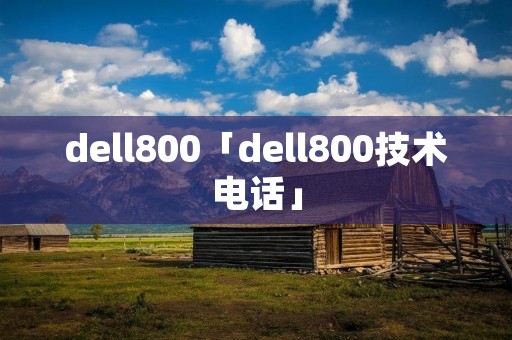 dell800「dell800技术**」