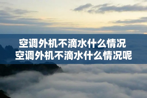 空调外机不滴水什么情况 空调外机不滴水什么情况呢