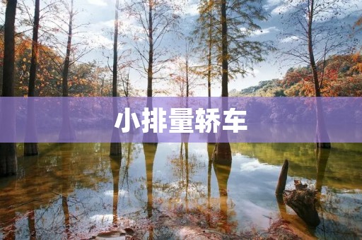 小排量轿车:为环保而生的汽车新选择 小排量轿车:为环保而生的汽车新选择