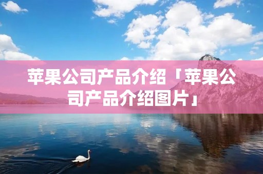苹果公司产品介绍「苹果公司产品介绍图片」