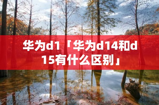 华为d1「华为d14和d15有什么区别」 华为d1「华为d14和d15有什么区别」