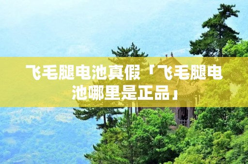 飞毛腿电池真假「飞毛腿电池哪里是正品」 飞毛腿电池真假「飞毛腿电池哪里是正品」