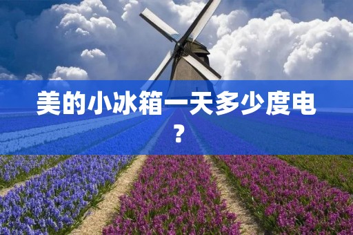 美的小冰箱一天多少度电？