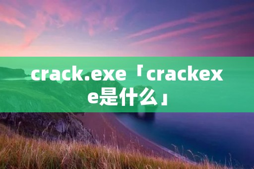 crack.exe「crackexe是什么」