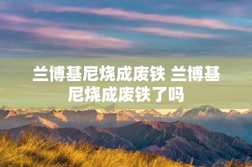兰博基尼烧成废铁 兰博基尼烧成废铁了吗