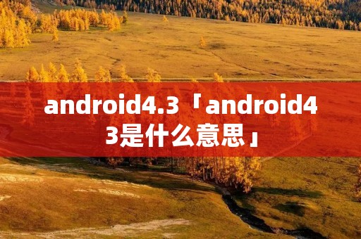 android4.3「android43是什么意思」