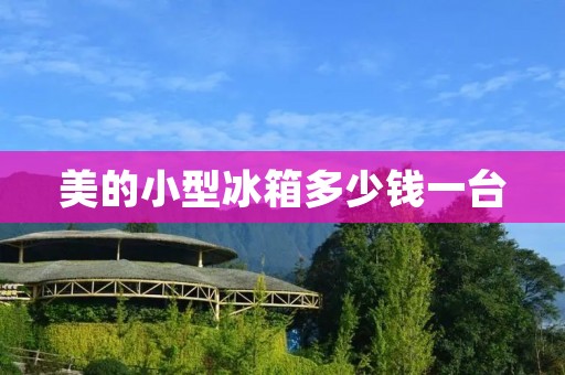 美的小型冰箱多少钱一台：详细描述