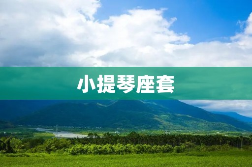小提琴座套:保护你的小提琴,让音乐永不停歇 小提琴座套:保护你的小提琴,让音乐永不停歇