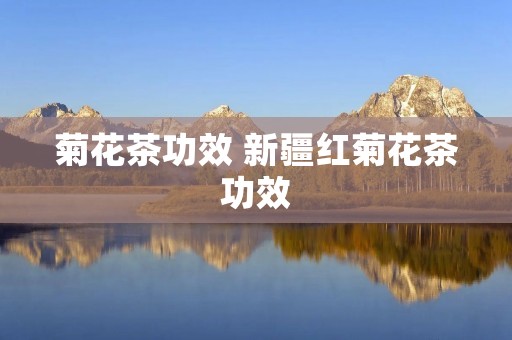 菊花茶功效 新疆红菊花茶功效