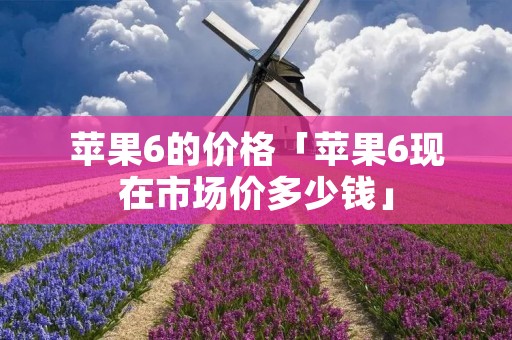 苹果6的价格「苹果6现在市场价多少钱」