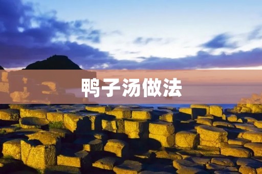 鸭子汤做法：美味鸭汤的烹饪秘诀揭秘