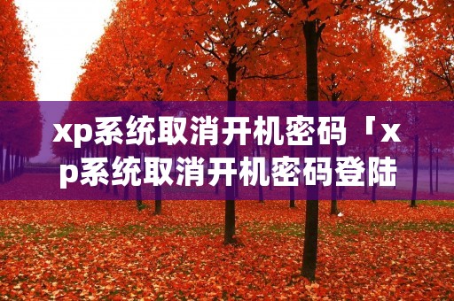 xp系统取消开机密码「xp系统取消开机密码登陆界面」 xp系统取消开机密码「xp系统取消开机密码登陆界面」