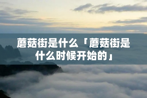 蘑菇街是什么「蘑菇街是什么时候开始的」 蘑菇街是什么「蘑菇街是什么时候开始的」