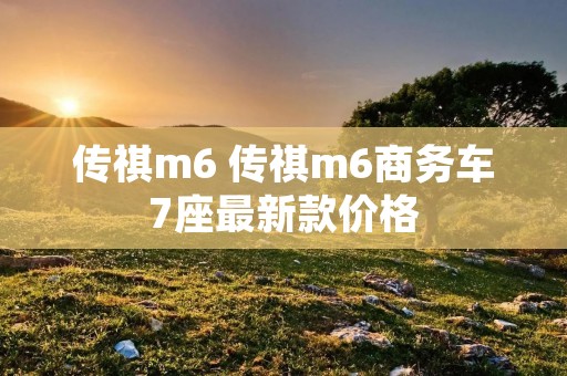 传祺m6 传祺m6商务车7座最新款价格