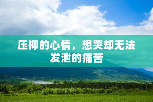 压抑的心情,想哭却无法发泄的痛苦