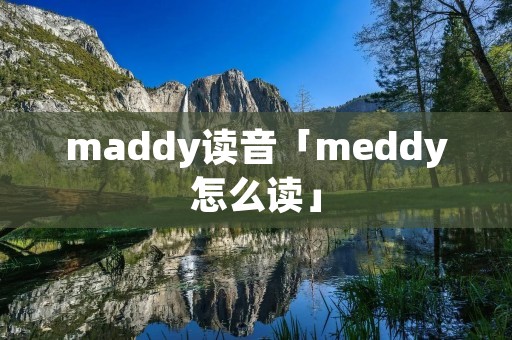 maddy读音「meddy怎么读」
