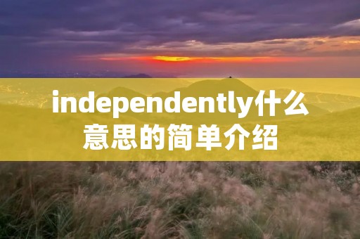 independently什么意思的简单介绍