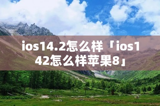 ios14.2怎么样「ios142怎么样苹果8」 ios14.2怎么样「ios142怎么样苹果8」