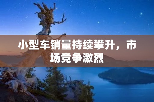 小型车销量持续攀升,市场竞争激烈 小型车销量持续攀升,市场竞争激烈