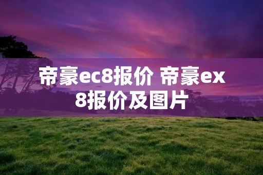 帝豪ec8报价 帝豪ex8报价及图片
