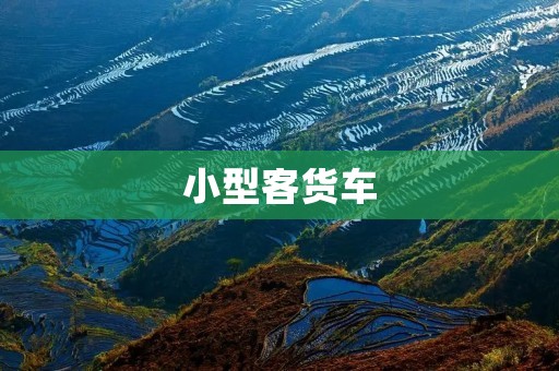 小型客货车：多功能便捷的商用交通工具