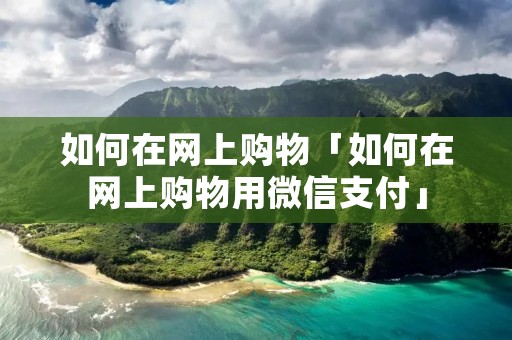 如何在网上购物「如何在网上购物用微信支付」