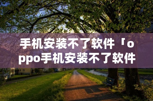 手机安装不了软件「oppo手机安装不了软件」