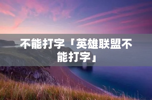 不能打字「英雄联盟不能打字」