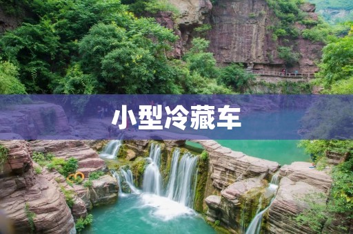 小型冷藏车:小巧便捷的冷链运输利器 小型冷藏车:小巧便捷的冷链运输利器