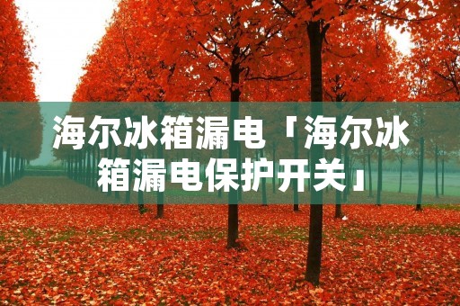 海尔冰箱漏电「海尔冰箱漏电保护开关」 海尔冰箱漏电「海尔冰箱漏电保护开关」