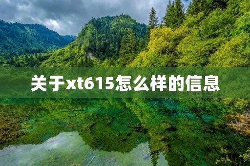 关于xt615怎么样的信息
