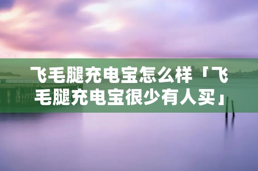 飞毛腿充电宝怎么样「飞毛腿充电宝很少有人买」