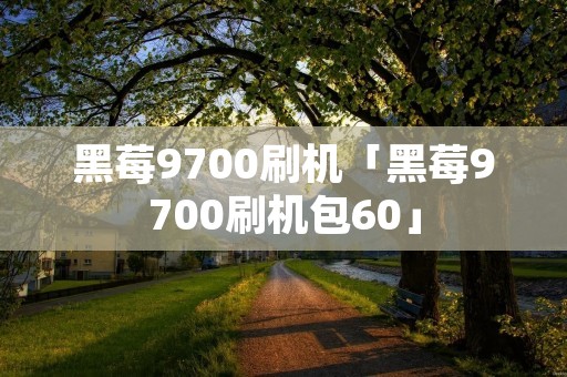 黑莓9700刷机「黑莓9700刷机包60」