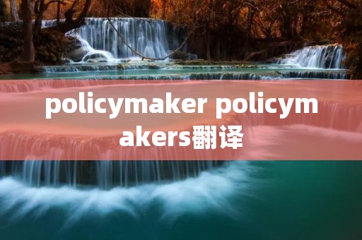policymaker policymakers翻译