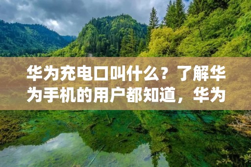 华为充电口叫什么？了解华为手机的用户都知道，华为手机的充电口被称为Type-C接口。Type-C接口是一种新一代的通用接口，具有较高的传输速度和更方便的插拔方式。在过去，手机的充电口多为Micro USB接口，而现在越来越多的手机品牌开始采用Type-C接口，其中就包括了华为。