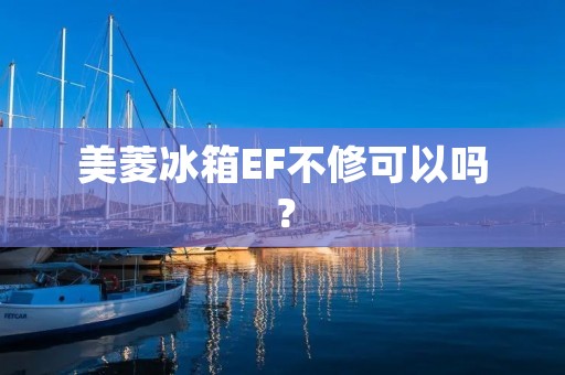 美菱冰箱EF不修可以吗？